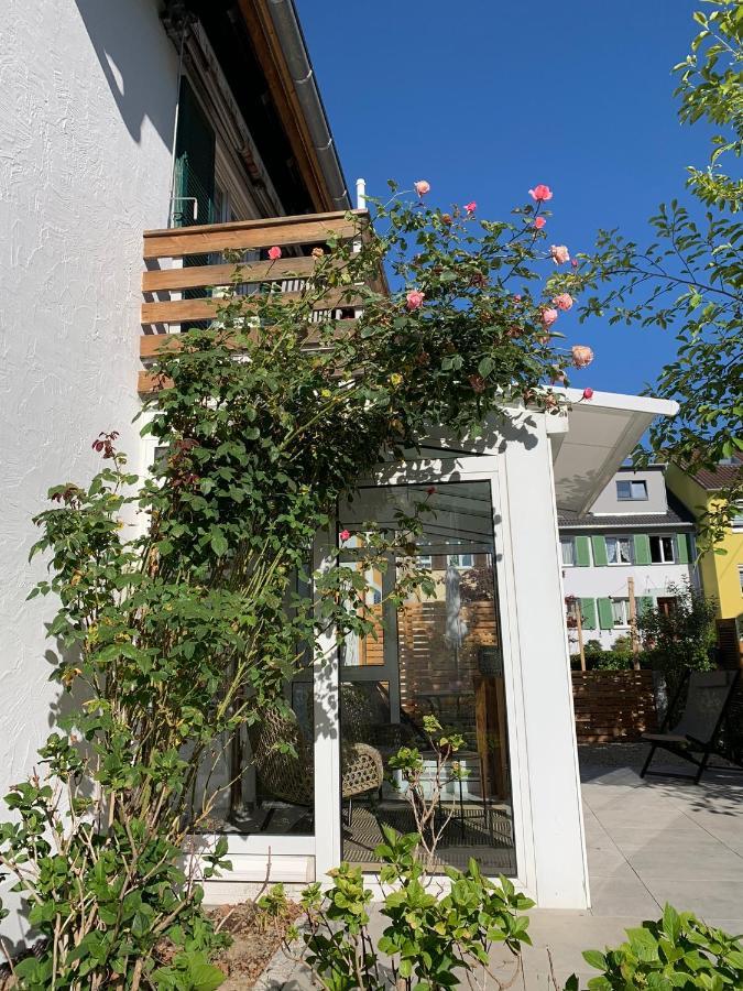 Ferienwohnungen Bohner/Wohnung Elisabeth 梅尔斯堡 外观 照片