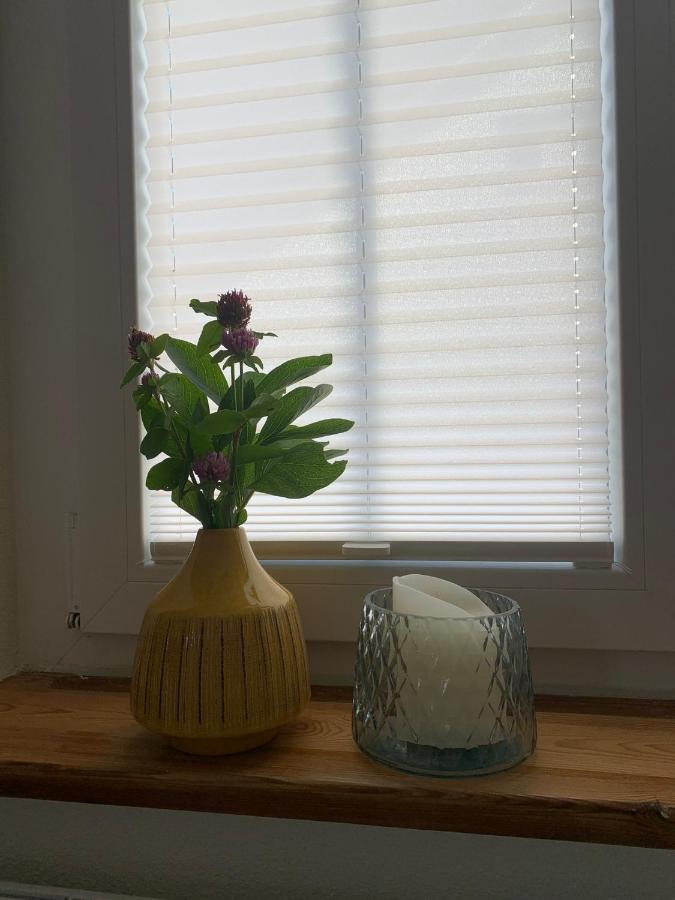 Ferienwohnungen Bohner/Wohnung Elisabeth 梅尔斯堡 外观 照片